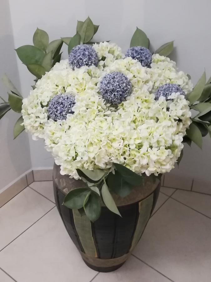 Hotel Europa - Family And Senior Friendly Kavála Ngoại thất bức ảnh